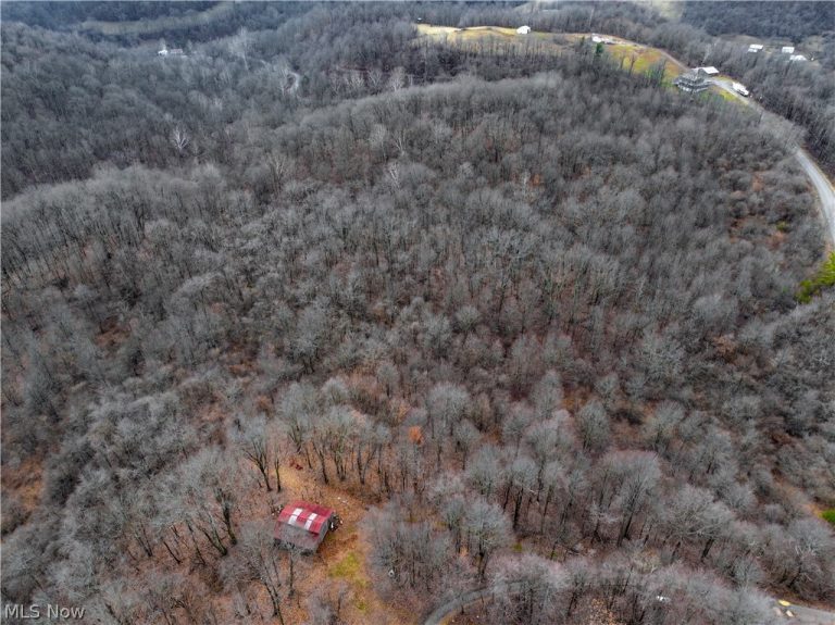 Tract 11 Miltonsburg-Calais Road, Woodsfield, OH - Photo 6