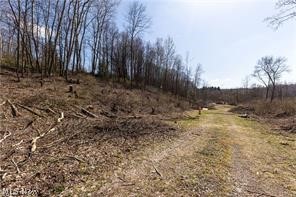 909 Lisbon Road, Salem, OH - Photo 8