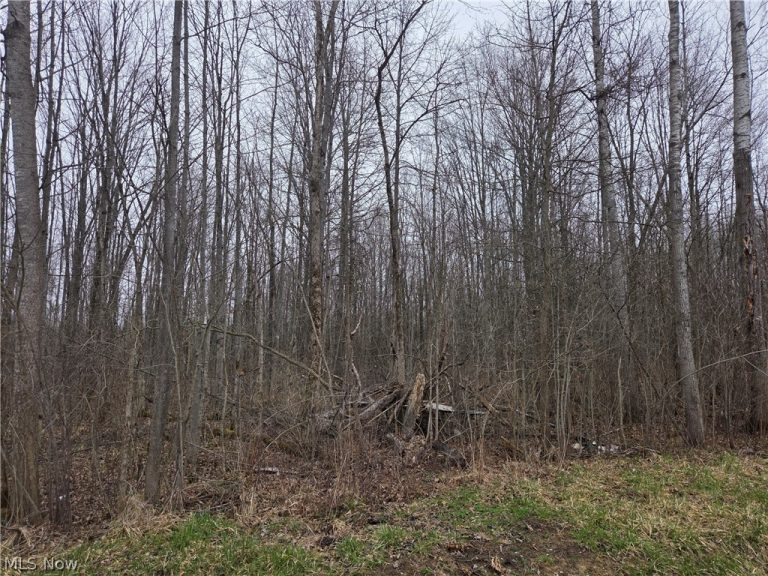 Plank Road, Orwell, OH - Photo 3