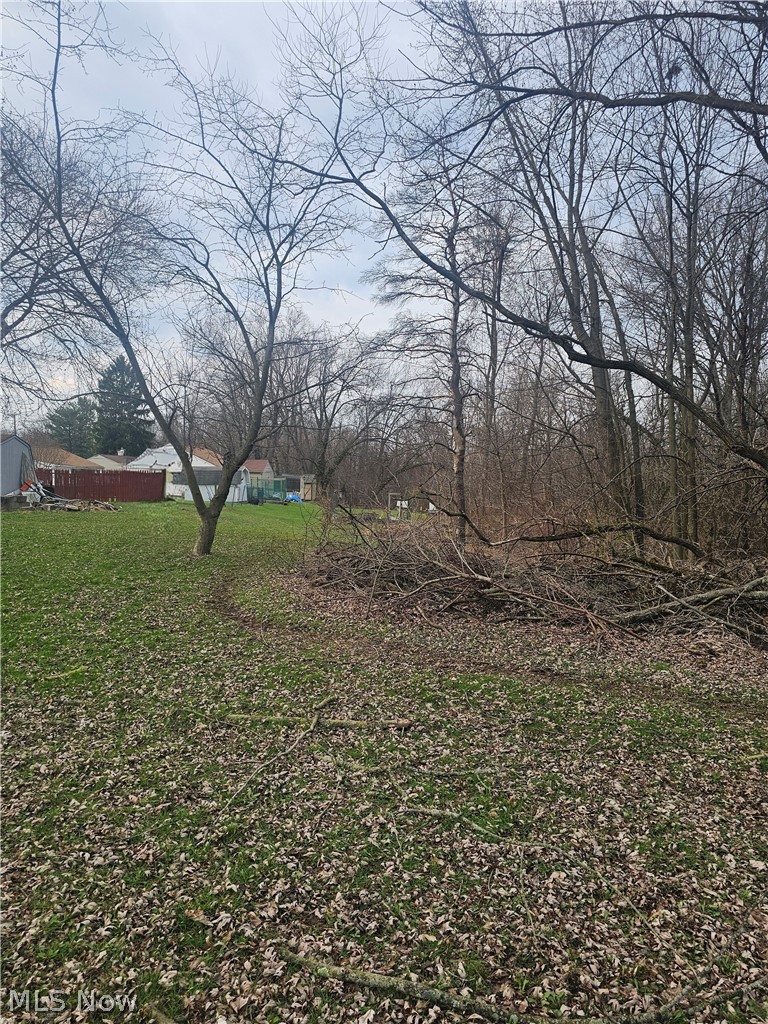 3563 Valerie Drive, Youngstown, OH - Photo 3