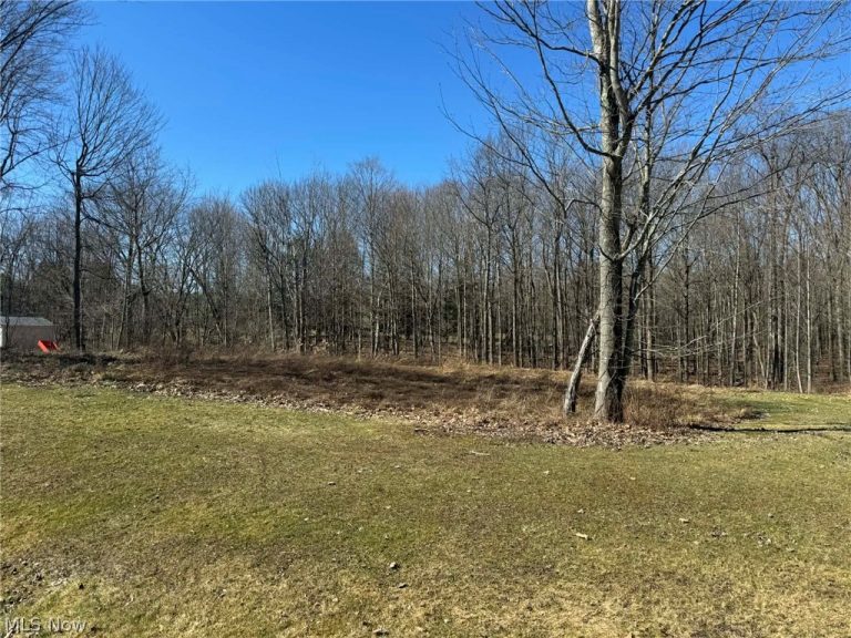Buttonwood Lane, Ashtabula, OH - Photo 4