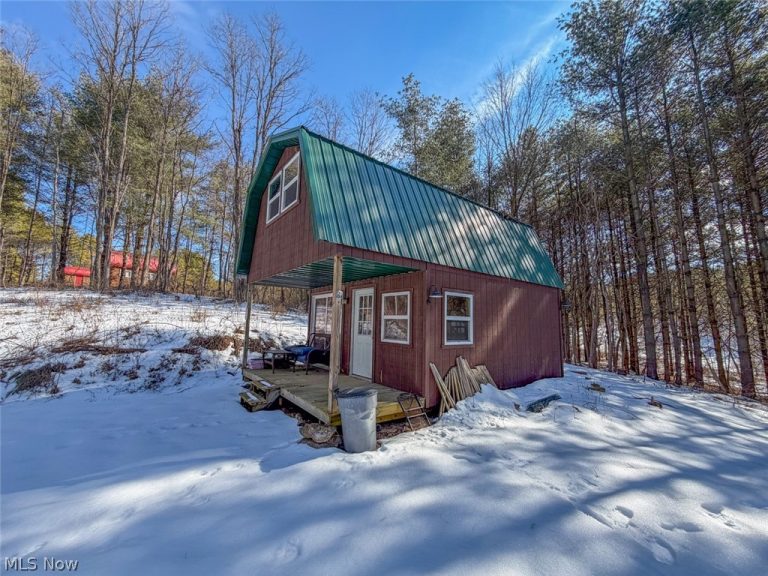 Blue Rock Church Road, Chandlersville, OH - Photo 8