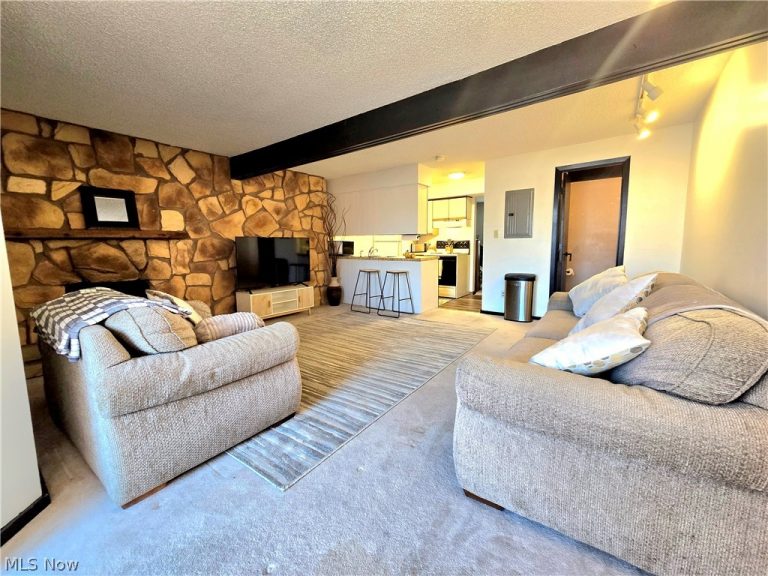 1579 Treetop Trail #27, Akron, OH - Photo 6