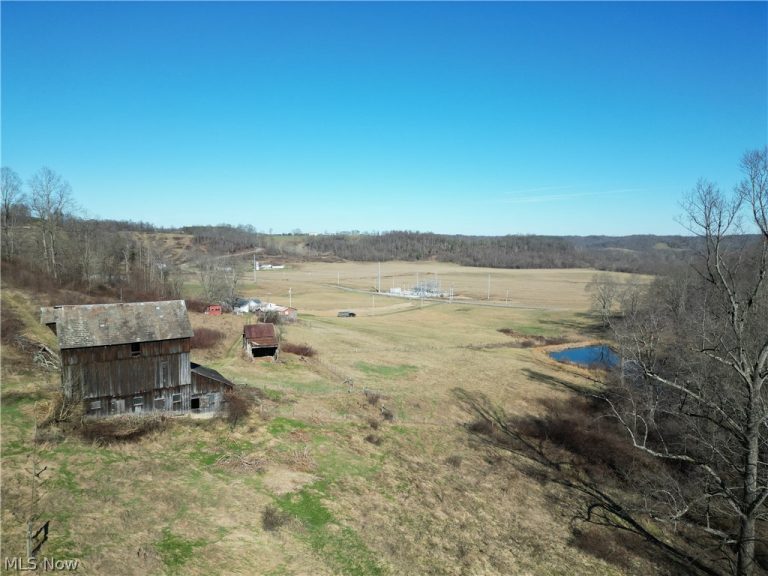 31785 PIEDMONT-FREEPORT Road, Freeport, OH - Photo 5