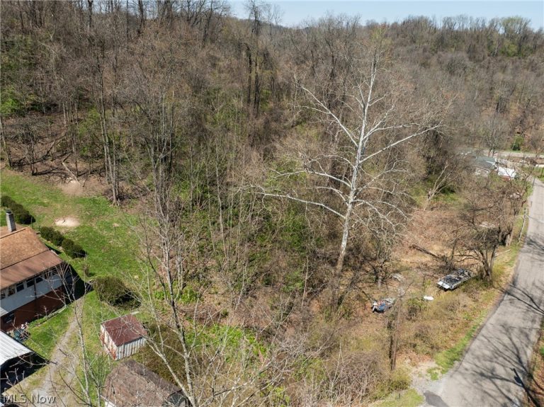 115 Township Road 501, Mingo Junction, OH - Photo 8
