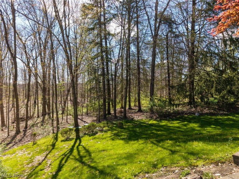 1180 Meadow Spur, Akron, OH - Photo 6