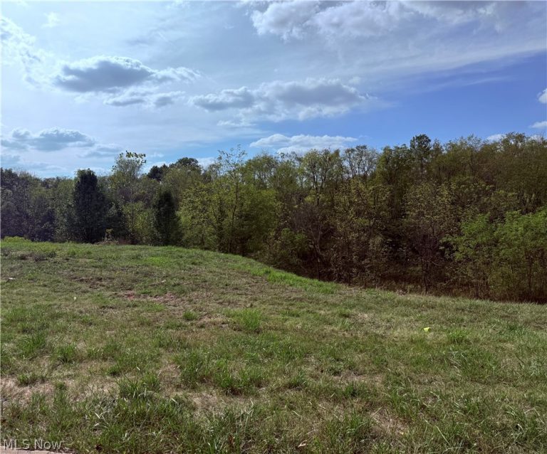 Cara Place, Wintersville, OH - Photo 2