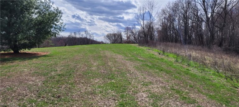 58547 Township Road 109, Kimbolton, OH - Photo 2