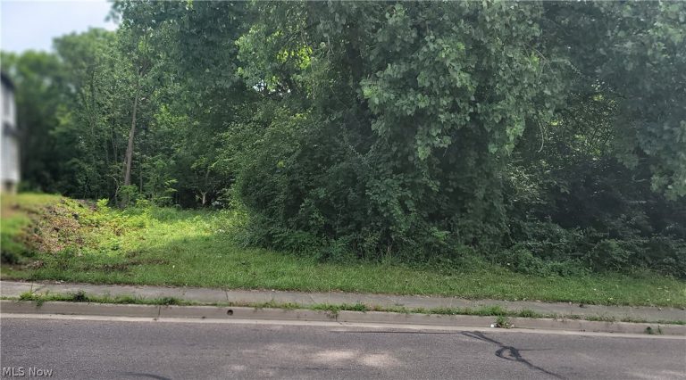 849 East Avenue, Akron, OH, 44307