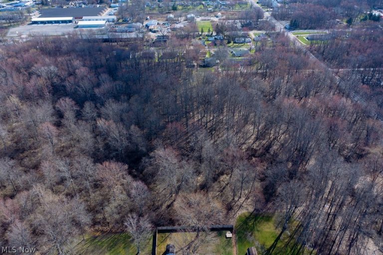 Woodruff Drive, Sheffield Lake, OH - Photo 4