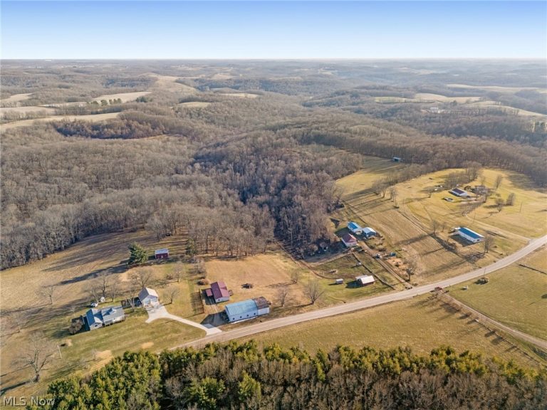3188 Amsterdam Road, Scio, OH - Photo 6