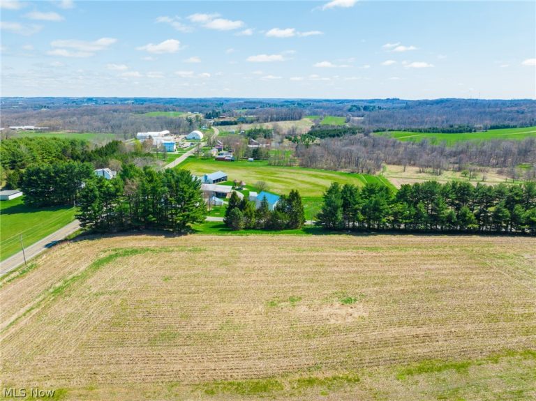 9050 Freeman Road, Lisbon, OH - Photo 6