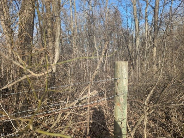 Township Road 215, New Lexington, OH - Photo 3