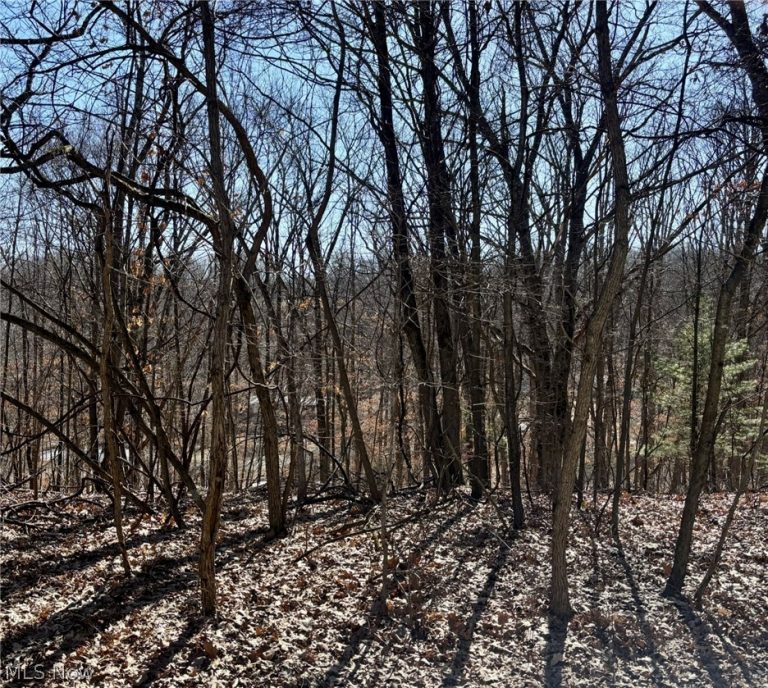 48065 Yuma Cove, Negley, OH, 44441