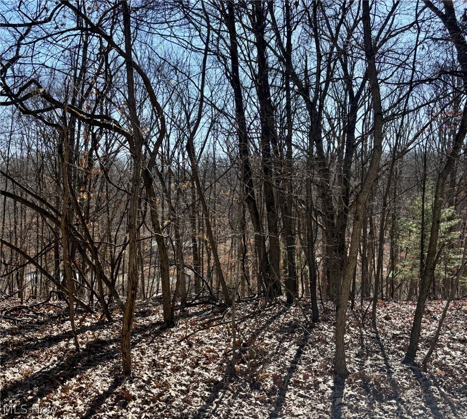 48065 Yuma Cove, Negley, OH