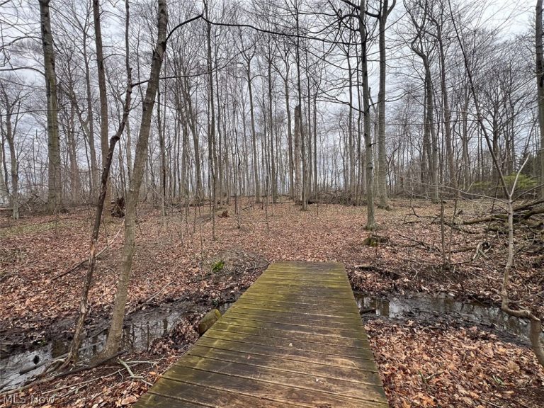 Schubert Avenue, Alliance, OH - Photo 6