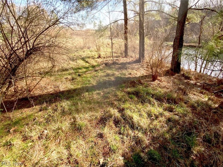 Twp Rd 318 Road, Dexter City, OH - Photo 5
