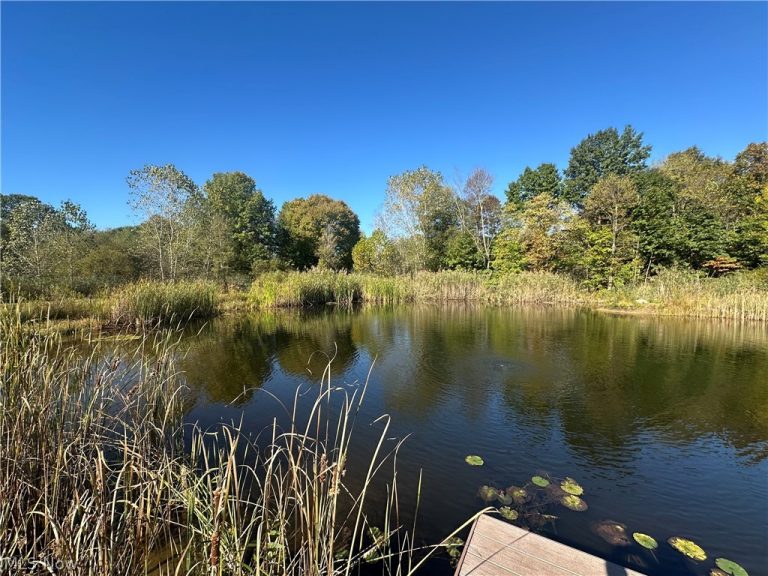 100 Cottage Grove Drive, Youngstown, OH - Photo 8