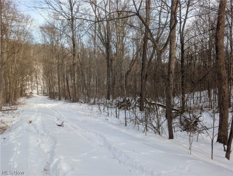 Tract 10 Kuhn Road, Lewisville, OH - Photo 8