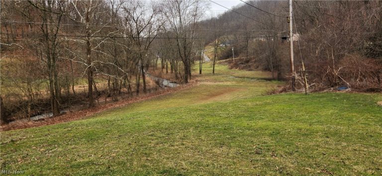 36577 State Route 7, Sardis, OH - Photo 3