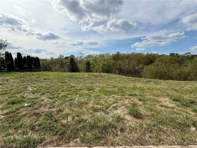 Cara Place, Wintersville, OH, 43952