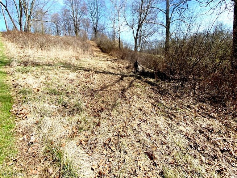 Township Rd 408, Warsaw, OH - Photo 2