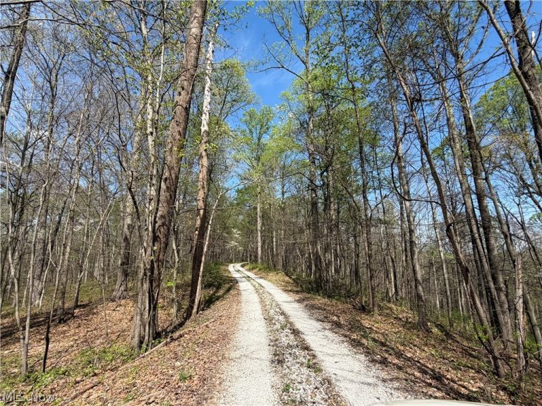 183 Varner Street, Walker, WV - Photo 5