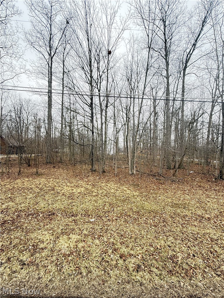 5038 Maderia Drive, West Salem, OH - Photo 3