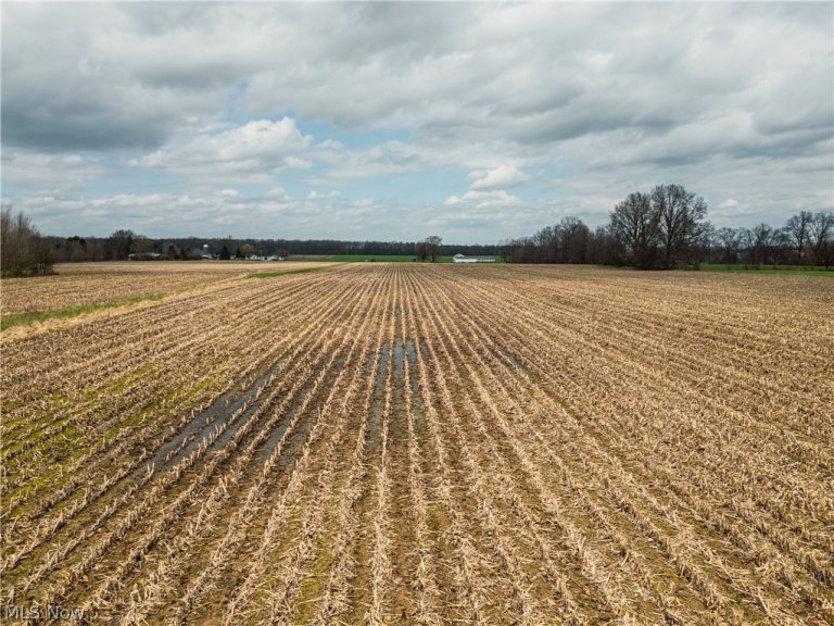Steiner Road, Creston, OH, 44217