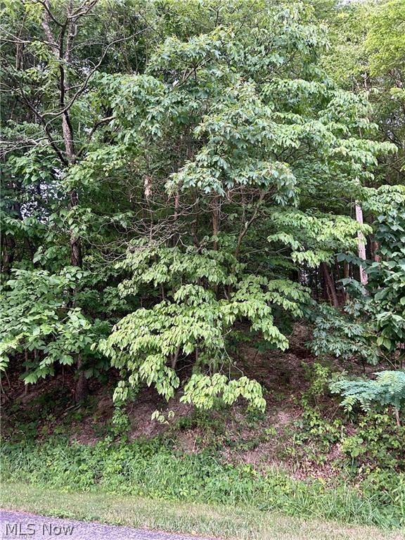 91 Oneida Trail, Malvern, OH - Photo 2