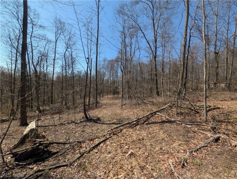 Township Road 289, Hammondsville, OH - Photo 3