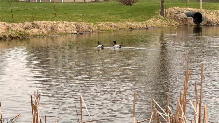 3629 Windsong Drive, Medina, OH - Photo 5