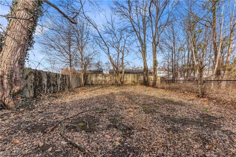 11930 Geraldine Avenue, Cleveland, OH - Photo 4