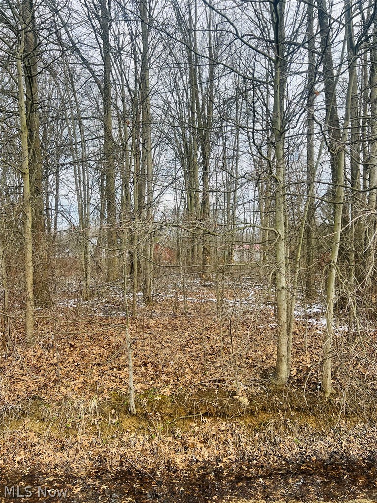 Lot 113 Breezewood Lane, Orwell, OH - Photo 2