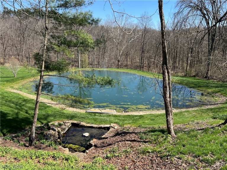4936 Township Road 311, Millersburg, OH - Photo 6
