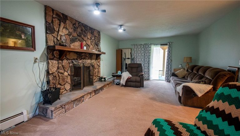 871 County Line Road, Geneva, OH - Photo 8