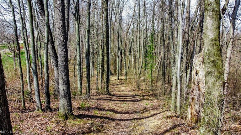 17805 Early Cemetary Road, Kimbolton, OH - Photo 3