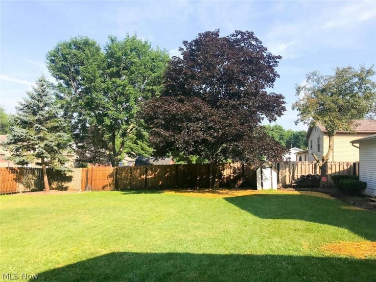 229 Old Oak Drive, Cortland, OH - Photo 5