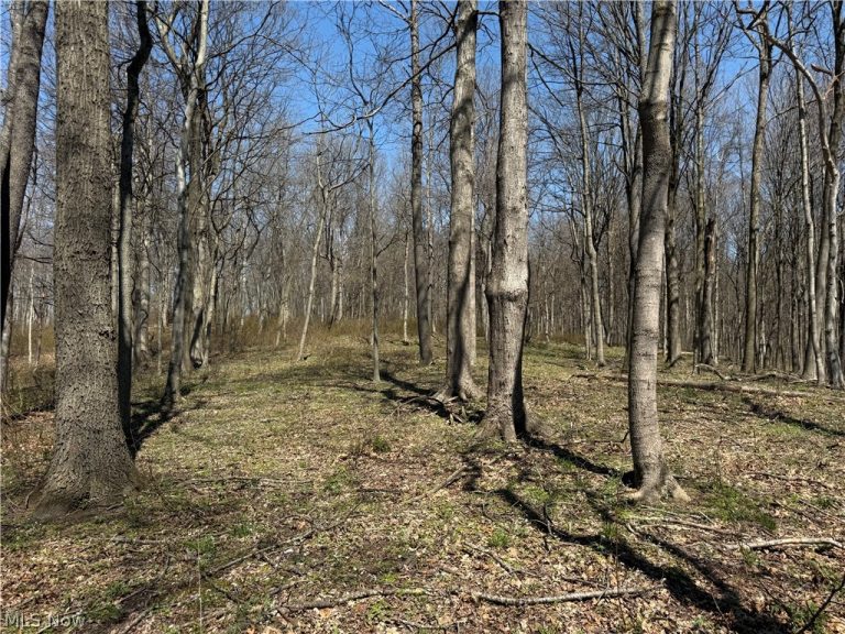 Kragel Road, Wintersville, OH - Photo 5