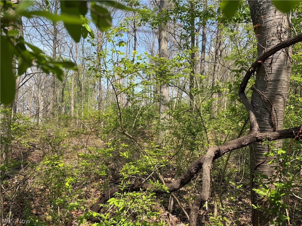 Village Street, Canton, OH