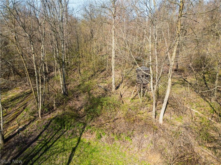 6706 Township Road 323 Road, Millersburg, OH - Photo 3