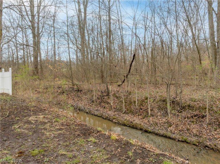 2041 Old Elm Street, Canton, OH - Photo 8