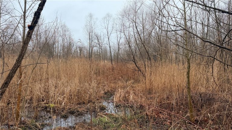 Ninevah Road, Geneva, OH - Photo 3