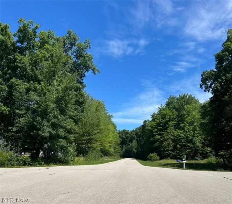 14065 Kimpton Trail, Hiram, OH - Photo 3