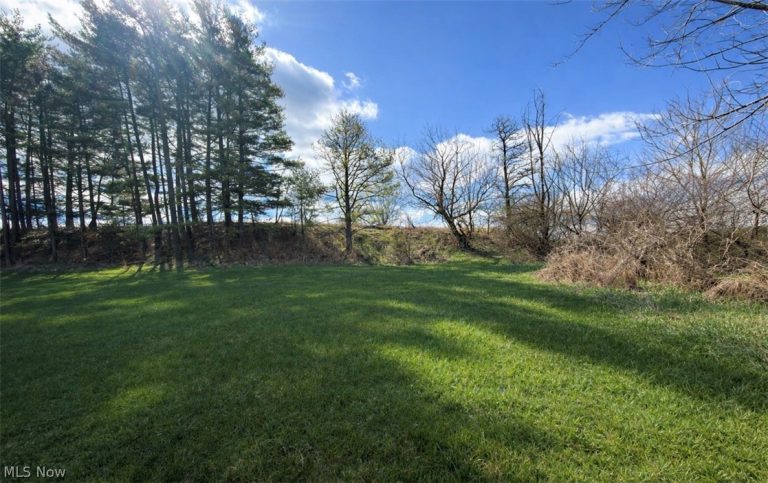 47813 Old Hopedale Road, Cadiz, OH - Photo 4
