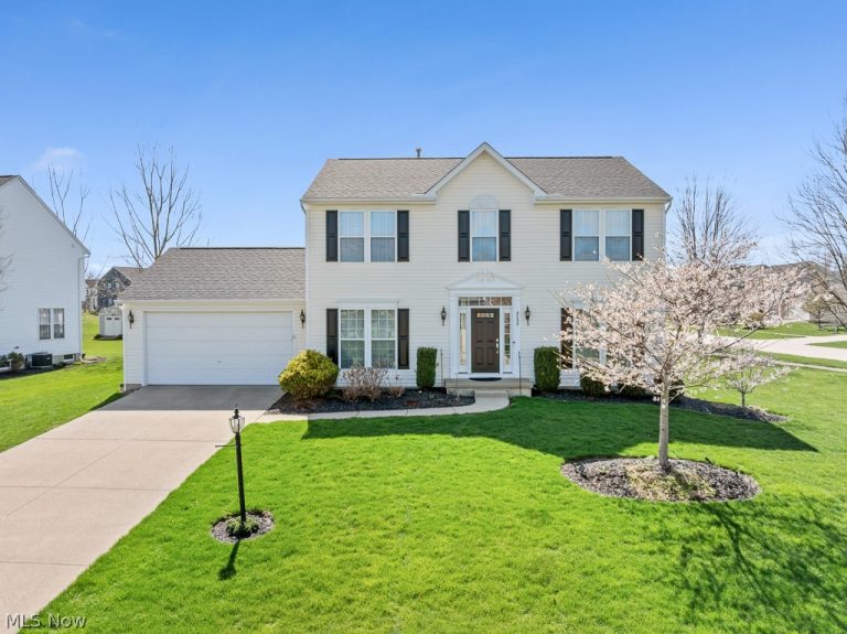 4540 Ridgestone Way, Medina, OH, 44256