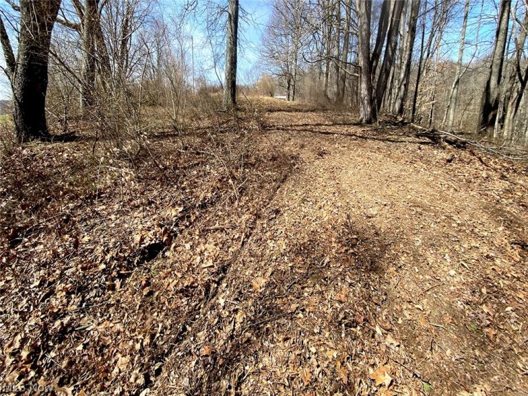 Township Rd 408, Warsaw, OH - Photo 6