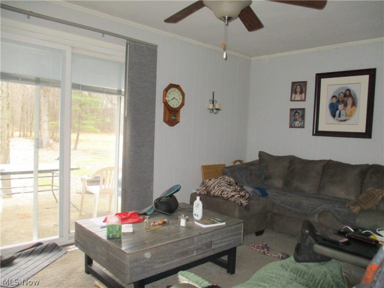 256 Warner Road, Hubbard, OH - Photo 4