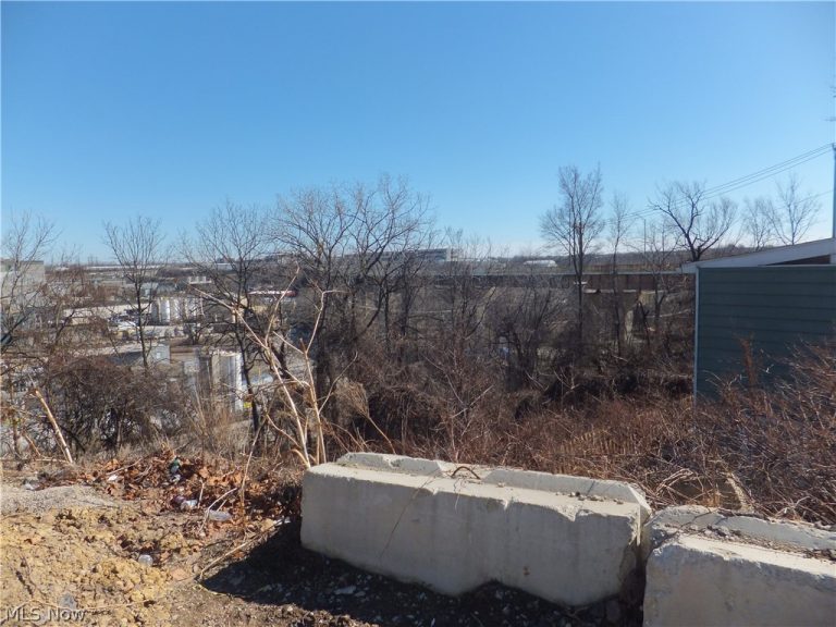 3747 13th Street, Cleveland, OH - Photo 3