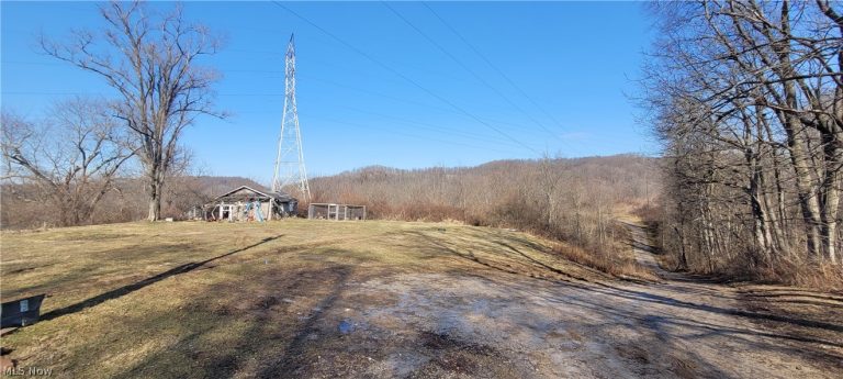 4002 Plainfield Road, Kimbolton, OH - Photo 8